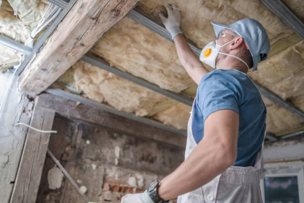 Best Insulation Repair Services  in Mulberry, OH