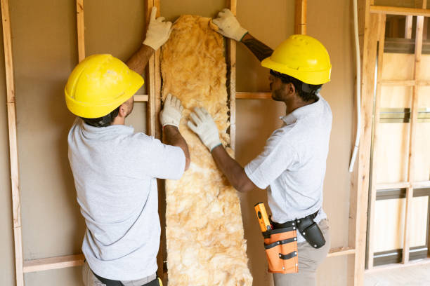 Best Blown-in Insulation  in Mulberry, OH