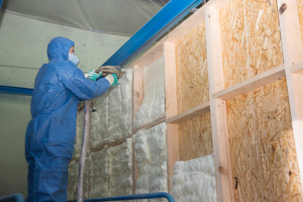 Best Insulation for New Construction  in Mulberry, OH